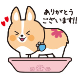 「ちばコーギー」LINEスタンプ