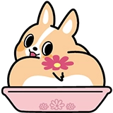 「ちばコーギー」LINEスタンプ