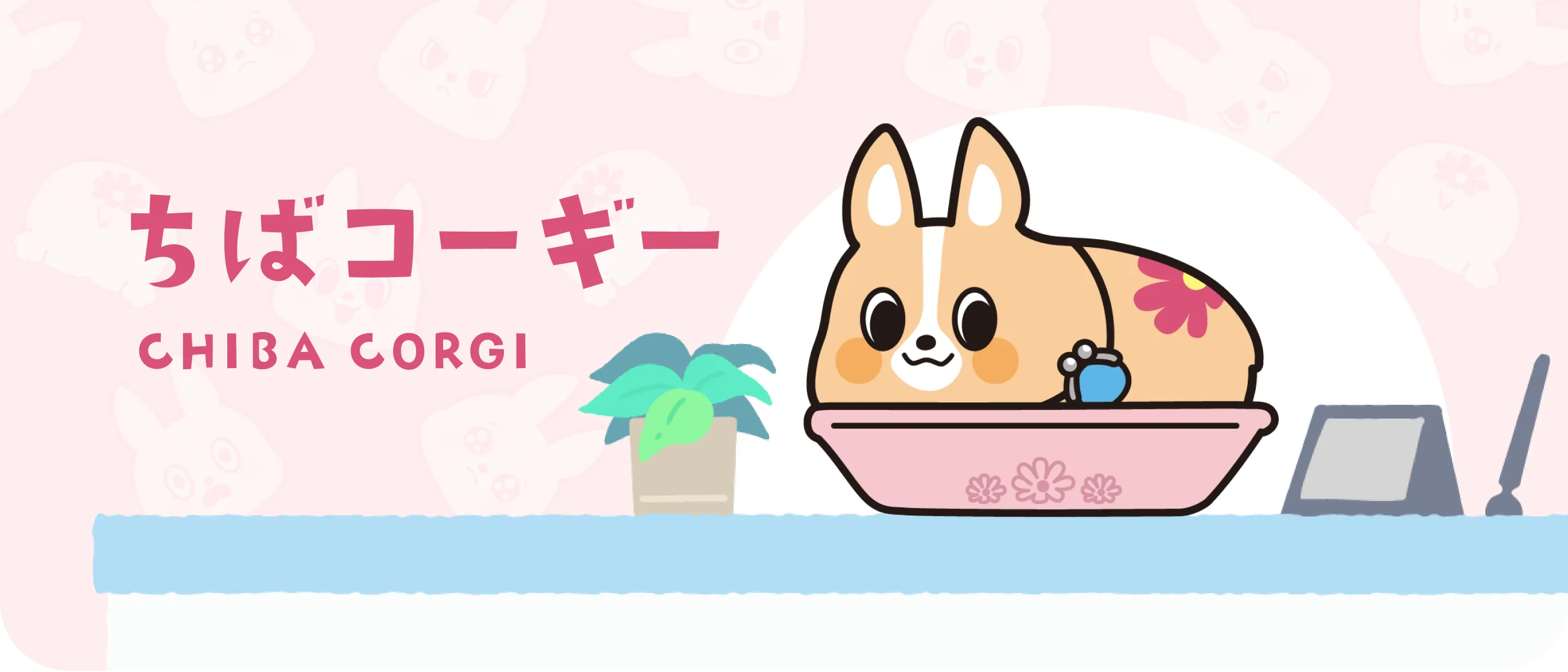 ちばコーギー CHIBA CORGI