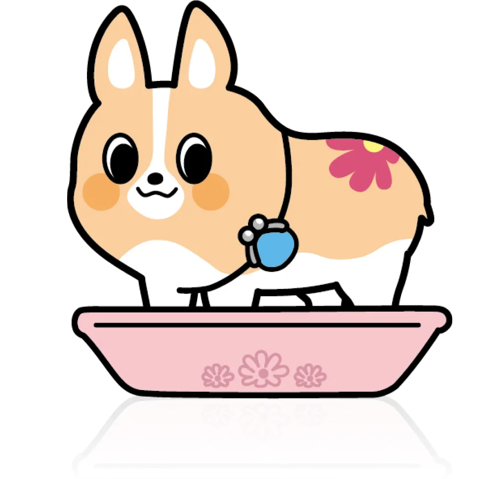 ちばコーギー