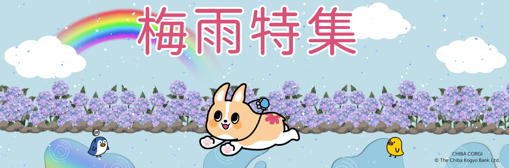 🐸梅雨特集🐸