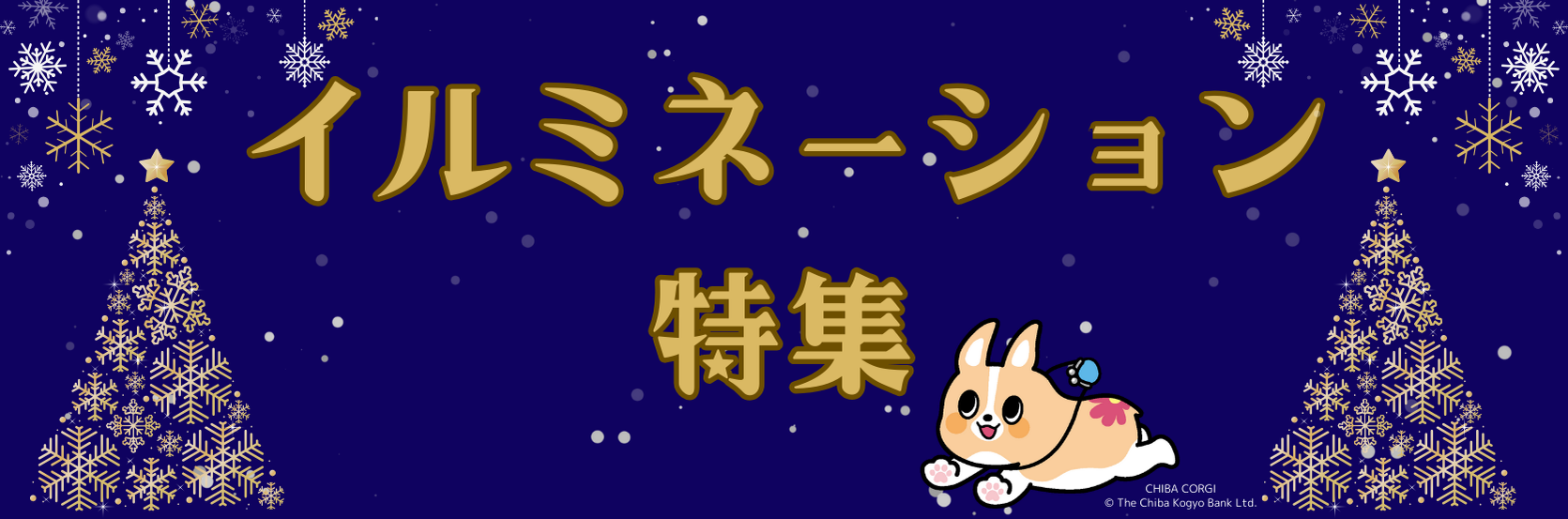 🌟イルミネーション特集🌟