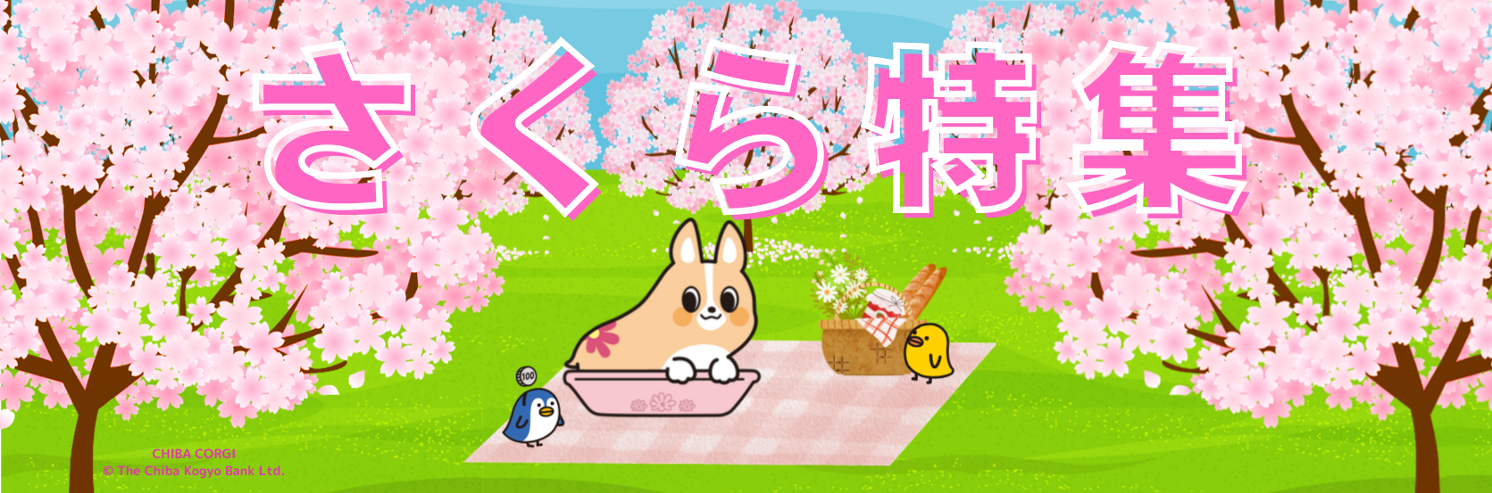 🌸さくら特集🌸