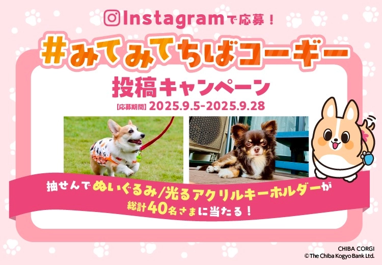 Instagramで応募！＃みてみてちばコーギー 投稿キャンペーン 応募期間：2025.9.5-2025.9.28 抽せんでぬいぐるみ/光るアクリルキーホルダーが総計40名さまに当たる！