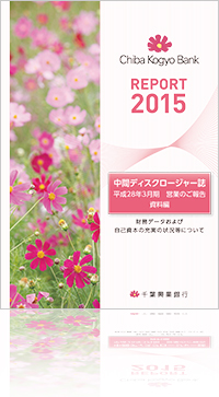 REPORT 2015 中間ディスクロージャー誌 平成28年3月期 営業のご報告 資料編 財務データおよび自己資本の充実の状況等について