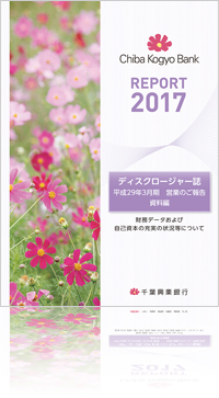 REPORT 2017 ディスクロージャー誌 平成29年3月期 営業のご報告 資料編 財務データおよび自己資本の充実の状況等について