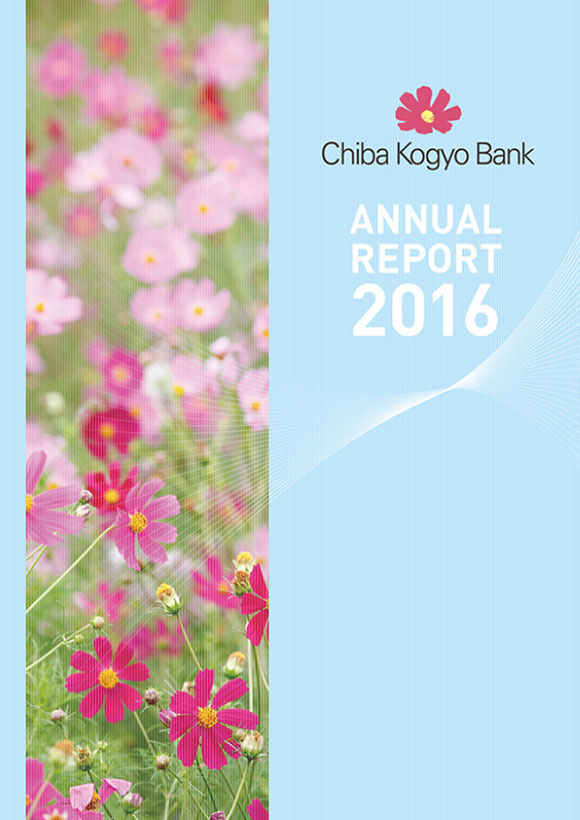 ANNUAL REPORT 2016