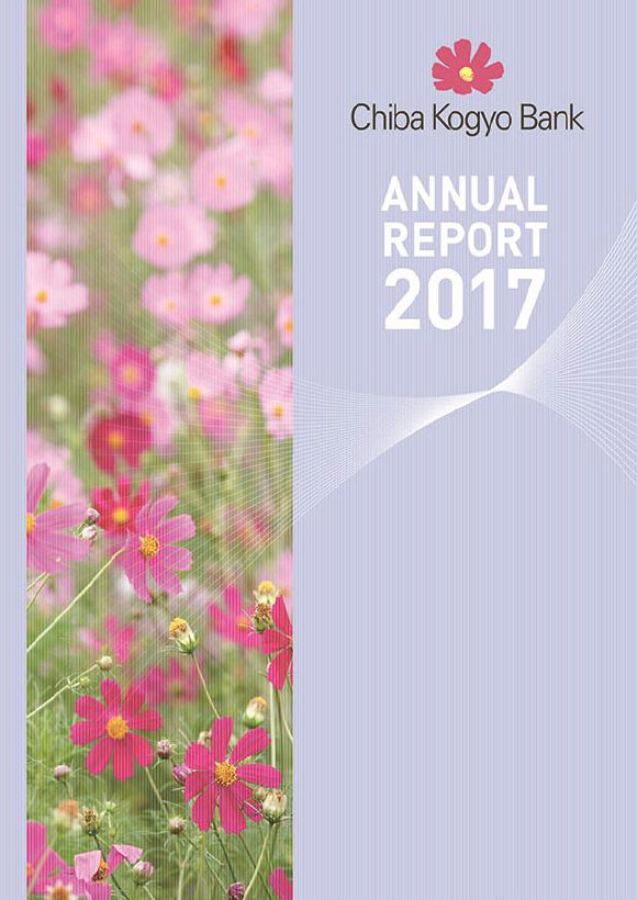 ANNUAL REPORT 2017