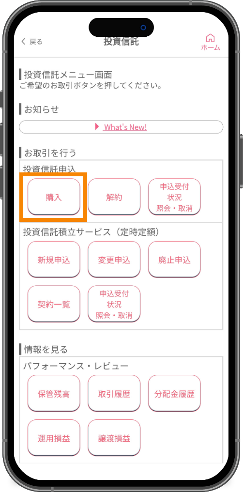 スライド画像