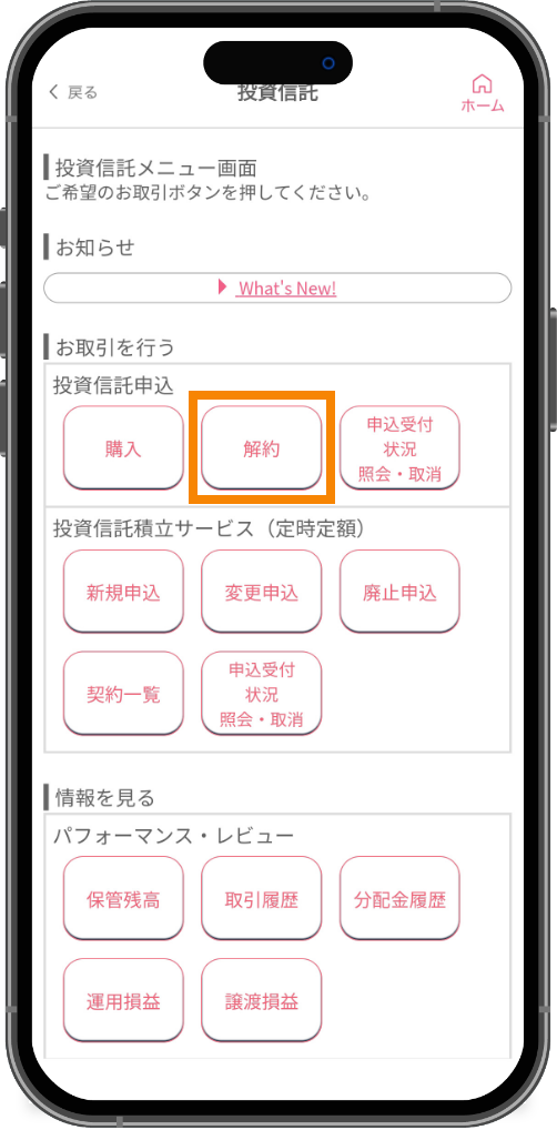 スライド画像