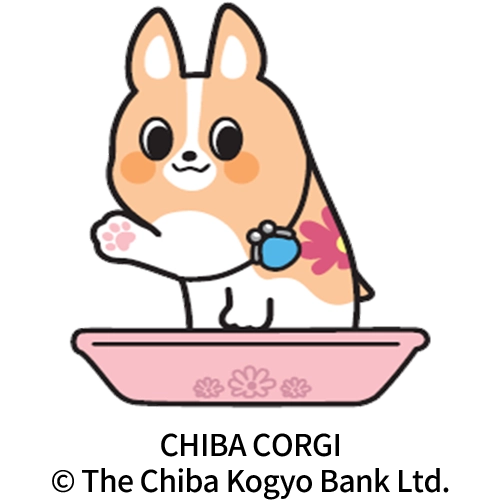 ちばコーギー