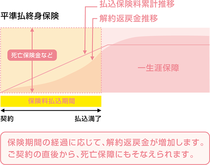 保険期間の経過に応じて、解約返戻金が増加します。ご契約の直後から、死亡保障にもそなえられます。