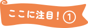 ここに注目！①