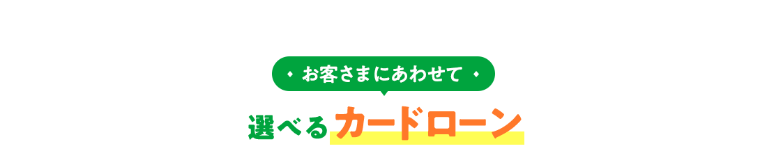 お客さまにあわせて選べるカードローン