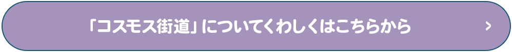 「コスモス街道」についてくわしくはこちらから