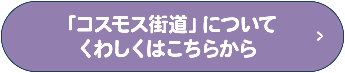 「コスモス街道」についてくわしくはこちらから