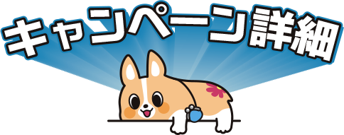 キャンペーン詳細