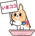 コーギー