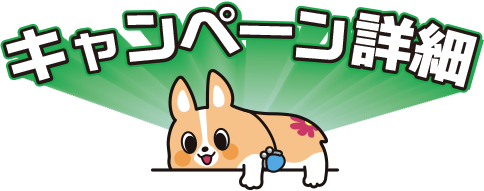 キャンペーン詳細