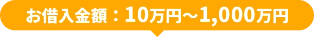 お借入金額：10万円～1,000万円