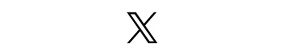 公式X