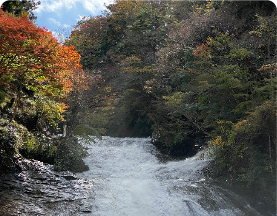 養老渓谷